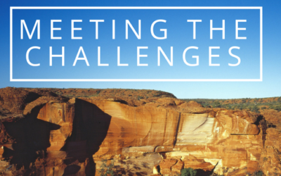 Meeting the Investment Challenges